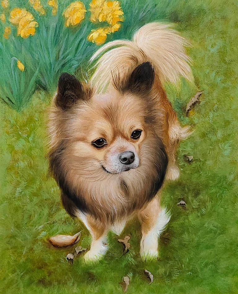 Handgeschilderd portret van een langharige hond in het gras