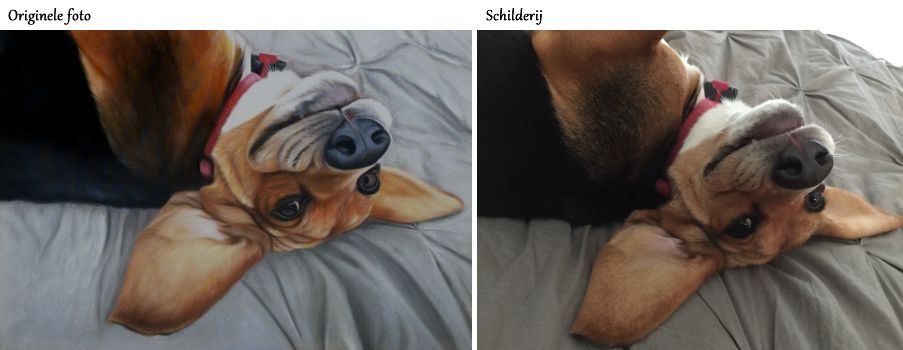 realistisch portret van je hond laten maken ⋆ jennifer koning